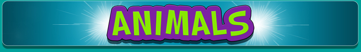 AnimalCharacters