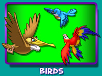 Cartoon Birds