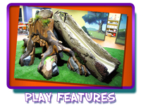 Play Features