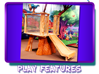 Play Features