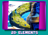 2D Elements