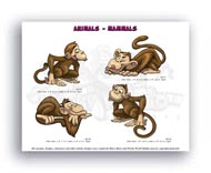 Characters Example
