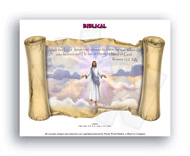 Scroll Example